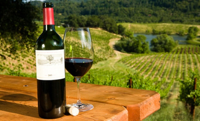 Wine Tours: The Newest Way to Enjoy Grown Up Fun!!